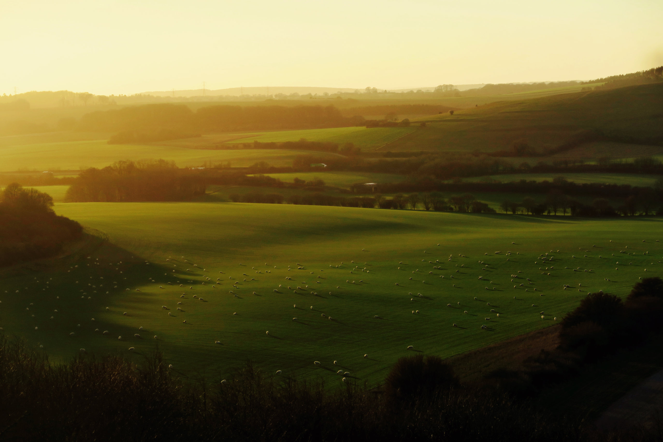 Sunrise over the English countryside hills.